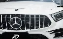 Mercedes Benz CLS-Class/CLS53 (W257/C257) Future Design Panamericana Chrome Front Grille 